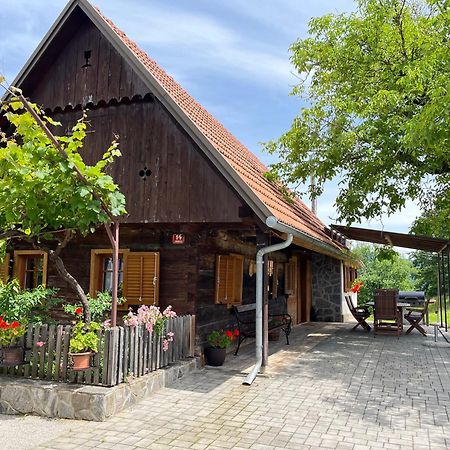 Domacija Brdar Villa Adlesici Buitenkant foto