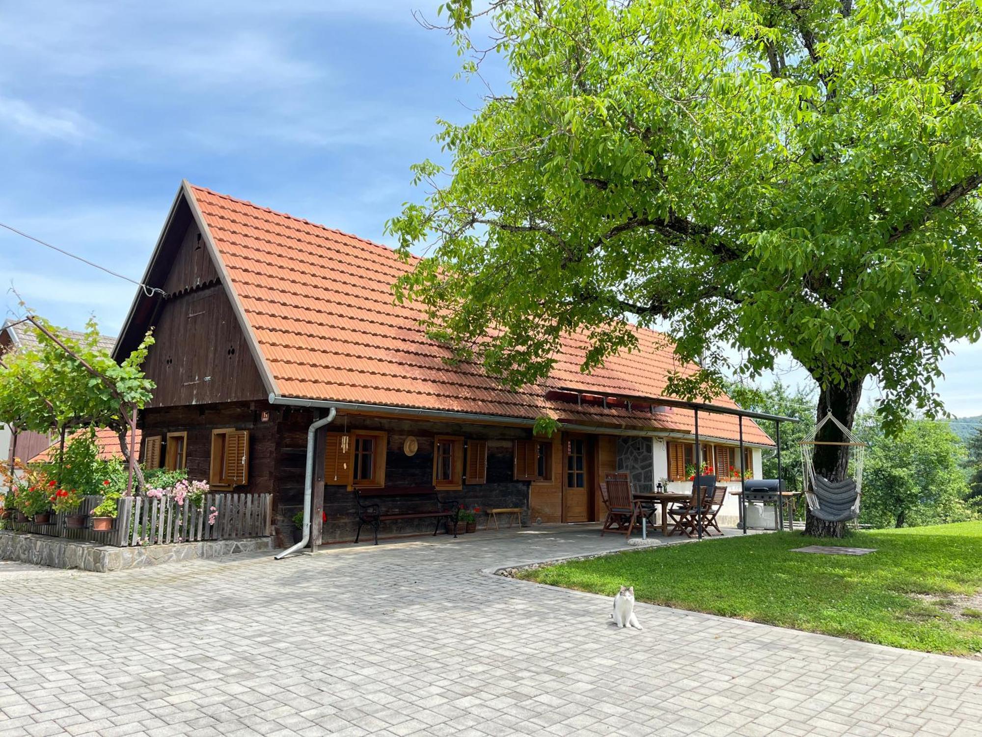 Domacija Brdar Villa Adlesici Buitenkant foto